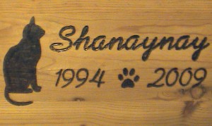 shanaynay-wood-burn